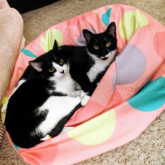 Welcome to my closet! - Picture 4 of 4